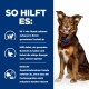 Ein glücklicher braun-weißer Hund sitzt vor einem blauen Hintergrund, mit Text, der die Vorteile des Gewichtsmanagements für Hunde hervorhebt.