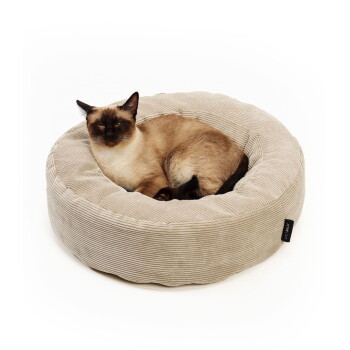 Siamkatze mit Point-Zeichnung (dunkles Gesicht und Ohren) zusammengerollt in einem beigen Cord-Donut-Katzenbett; kleines schwarzes Etikett mit weißem Text.