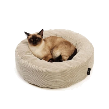 Siamkatze mit Point-Zeichnung (dunkles Gesicht und Ohren) zusammengerollt in einem beigen Cord-Donut-Katzenbett; kleines schwarzes Etikett mit weißem Text.