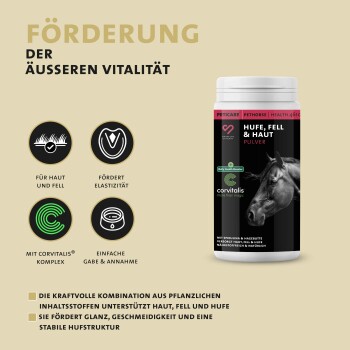 Behälter Peticare Pethorse Huf-, Fell- & Hautpulver mit Pferdebild, Vorteile für Haut, Fell, Elastizität und einfache Anwendung, Text auf Deutsch.