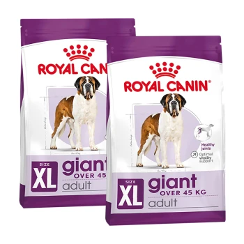 Zwei Säcke Royal Canin XL Giant Hundefutter für erwachsene Hunde über 45 kg, mit einem Bernhardiner und der Förderung von Gelenkgesundheit und Vitalität.