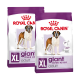 Zwei Säcke Royal Canin XL Giant Hundefutter für erwachsene Hunde über 45 kg, mit einem Bernhardiner und der Förderung von Gelenkgesundheit und Vitalität.
