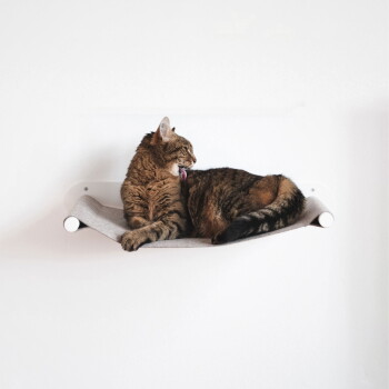 Getigerte Katze leckt ihre Pfote, während sie auf einer grauen, an der Wand montierten Hängemattenablage vor einer weißen Wand entspannt.