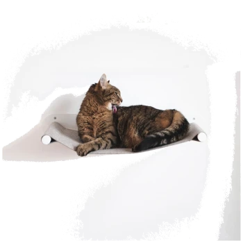 Getigerte Katze leckt ihre Pfote, während sie auf einer grauen, an der Wand montierten Hängemattenablage vor einer weißen Wand entspannt.