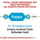 Opakowanie karmy dla psów Royal Canin Rottweiler, z oznaczeniem 'Puppy' dla 2 miesięcy i 'Adult' dla 18 miesięcy, z polskim tekstem na temat przejścia dietetycznego.