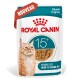 Pochette de nourriture Royal Canin Senior pour chats de plus de 15 ans, morceaux en sauce, avec image d'un chat tigré orange.