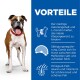Ein glücklicher Boxerhund mit rotem Halsband steht neben einer blauen Tafel, die Vorteile hervorhebt: niedrige Kalorien, L-Carnitin, Omega-6 und Vitamin E.