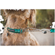 Nahaufnahme des Halses eines Hundes, der ein grün-blau gestreiftes Halsband von Ruffwear trägt, das an einer silbernen Kettenleine befestigt ist.