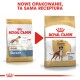 Porównanie opakowań karmy dla psów Royal Canin Boxer, z formułą "Adult" dla psów powyżej 15 miesiąca życia, z ogłoszeniem o nowym designie.