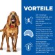 Ein brauner Hund mit rotem Halsband steht neben einem blauen Abschnitt, der Vorteile auflistet: niedrige Kalorien, L-Carnitin, Sättigung, Omega-6 und Vitamin E.