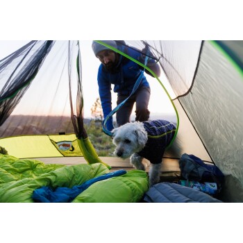 Ein kleiner weißer Hund mit einer blauen und grünen Jacke verlässt ein Zelt, in dem ein Schlafsack und ein Rucksack sichtbar sind.