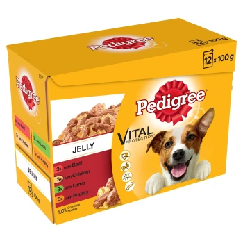 Multipack Pouch Mixed Selection in Jelly