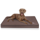 Ein brauner Hund liegt bequem auf einem dicken, rechteckigen Haustierbett mit einem dunkelbraunen Bezug, mit dem Logo "Häffelwuff" an der Seite.