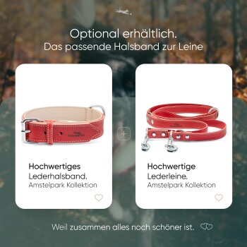 Bild eines roten Lederhundehalsbandes und einer Leine aus der Amstelpark-Kollektion, mit Text, der ihre optionale Verfügbarkeit bewirbt.