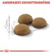 Drei runde, braune Haustierfutterkroketten werden auf einer skizzierten Umrisslinie angezeigt, mit dem Text "ANGEPASSTE KROKETTENGRÖSSE" darüber.