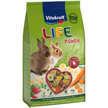 LIFE POWER Zwergkaninchen 600g