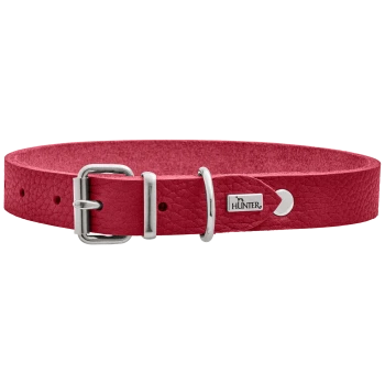 Roter Leder-Hundehalsband mit einer silbernen Schnalle und einem kleinen Metallschild mit dem Markennamen "HUNTER."