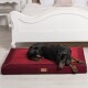 Ein schwarz-brauner Dobermann liegt bequem auf einem burgunderfarbenen Haustierbett in einem hellen Raum mit einem weißen Bett im Hintergrund.