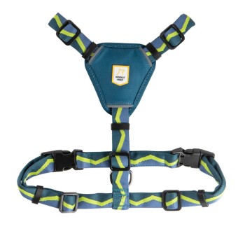 Geschirr Horizon Deep Teal Mix XXS