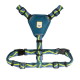 Ein türkis- und blauer Hundegeschirr mit geometrischem Design und verstellbaren Riemen, mit einem gelben "Woolly Wolf"-Logo.