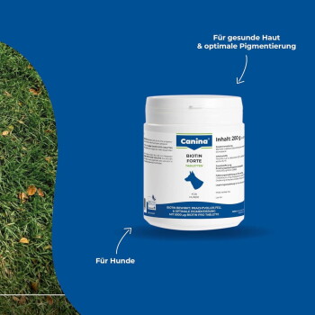 Weiße Canina-'Biotin Forte'-Tablettendose für Hunde vor blauem Hintergrund; Etikett zeigt 'Canina', 'Biotin Forte', 'Für Hunde' und 'Für gesunde Haut & optimale Pigmentierung'.