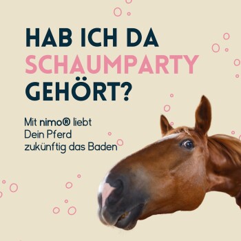 Nahaufnahme des verspielten Gesichts eines Pferdes, umgeben von rosa Blasen. Text: "HAB ICH DA SCHAUMPARTY GEHÖRT? Mit nimo® liebt Dein Pferd das Baden."
