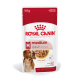 Royal Canin Medium Adult Hundefutterbeutel, 140g, mit Stückchen in Soße, mit einem Hundebild und Text, der die Unterstützung der Muskelmasse hervorhebt.