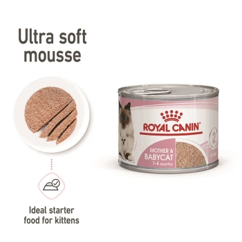 Royal Canin Mother & Babycat ultra soft mousse can, labeled as ideal starter food for kittens, with a portion shown on the side.