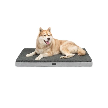 Hundematte CozyPad Ein gemütliches Hundebett mit einer plüschigen grauen Oberfläche, mit einem hellgrauen Rand und einem entspannten Hund, der darauf liegt.