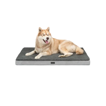 Ein gemütliches Hundebett mit einer plüschigen grauen Oberfläche, mit einem hellgrauen Rand und einem entspannten Hund, der darauf liegt.