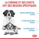 Mère chien et ses chiots avec un texte sur leurs besoins : haute énergie, systèmes immunitaires fragiles et digestion sensible.