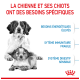 Mutterhund und ihre Welpen mit Text über ihre Bedürfnisse: hohe Energie, empfindliche Immunsysteme und sensible Verdauung.