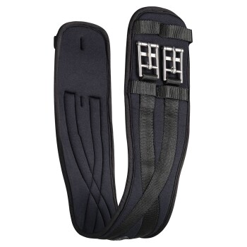 Schwarzes gepolstertes Haustiergeschirr mit verstellbaren Riemen und Metall-Schnallen, entworfen für Komfort und Sicherheit.