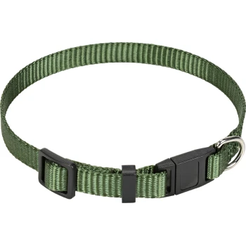 Zielona nylonowa obroża dla zwierząt z czarnym plastikowym zapięciem i metalowym pierścieniem do przypięcia smyczy.