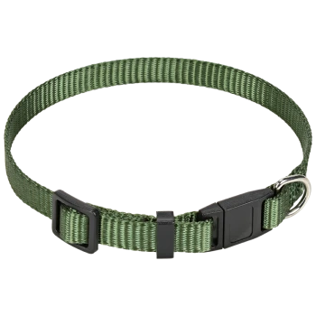 Collier pour animaux en nylon vert avec une boucle en plastique noir et un anneau en D en métal pour attacher la laisse.