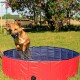 Ein verspielter Hund springt aus einem rot-blauen Haustierpool, spritzt Wasser, mit einem blauen Ball im Mund, in einem grasbewachsenen Außenbereich.