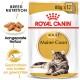 Royal Canin Adult Maine Coon kattenvoer verpakking, met een Maine Coon kat, met tekst die de voeding van het ras en de gewrichtsgezondheid benadrukt.