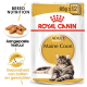 Royal Canin Adult Maine Coon kattenvoer verpakking, met een Maine Coon kat, met tekst die de voeding van het ras en de gewrichtsgezondheid benadrukt.