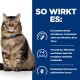 Eine flauschige braune getigerte Katze mit einem blauen Halsband sitzt vor einem blauen Hintergrund mit Text über die ActivBiome+-Technologie für Haustier-Mikrobiome.