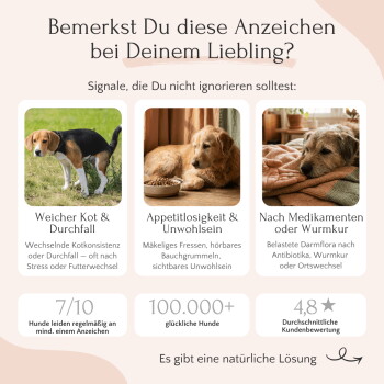 Vergleich von FAVLY Haustierprodukten mit herkömmlichen, die Vorteile wie natürliche Zutaten und klare Kennzeichnung zeigen.