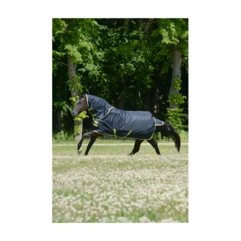 Ein schwarzes Pferd, das eine marineblaue Pferde-Decke mit limettengrünen Akzenten trägt, galoppiert über ein grasbewachsenes Feld, das mit weißem Klee übersät ist.