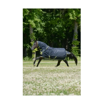 Ein schwarzes Pferd, das eine marineblaue Pferde-Decke mit limettengrünen Akzenten trägt, galoppiert über ein grasbewachsenes Feld, das mit weißem Klee übersät ist.