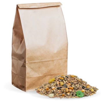 Eine braune Papiertüte gefüllt mit verschiedenen Haustierfuttern, mit einer bunten Mischung aus Samen, Getreide und getrockneten Früchten, die auf den Boden gefallen sind.