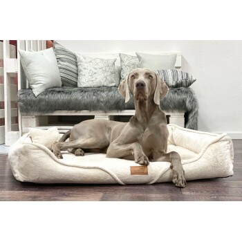 Weimaraner Hund liegt auf einem beigen Tierlando Haustierbett in einem Raum mit einer weißen Bank und dekorativen Kissen.