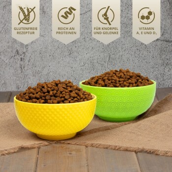 Eine weiße Schüssel gefüllt mit braunen Tierfutter-Kibbles, einige fallen auf eine Holzoberfläche, mit einem "PREMIUM"-Label in der Ecke.