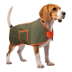 Beagle-Hund trägt einen olivgrünen und orange abgesetzten Hundemantel mit Tasche, steht vor schwarzem Hintergrund.