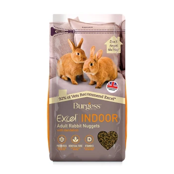 Burgess Excel Indoor Rabbit Nuggets mit Löwenzahn, mit zwei niedlichen Kaninchen auf einer Couch und hervorhebenden Tierarztempfehlungen.