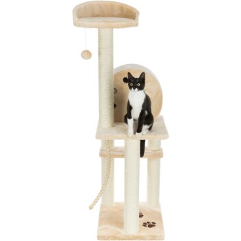 Katzenmöbel kaufen - 3aa27c764b2D2550484f57fc33469f0efa913bc5 1014628  De DE  1338D6f3e5945441ef5D6696407Db78297fe41c4USY3ug