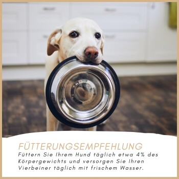 Eine Edelstahlschüssel für Hunde auf einem Holzboden, mit einem verschwommenen Hund dahinter. Der Text empfiehlt, Hunden täglich 4% ihres Körpergewichts zu füttern.