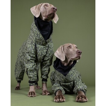 Zwei Hunde in passenden grünen Tarnregenmänteln, die vor einem einfarbigen grünen Hintergrund stehen.